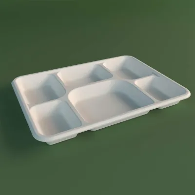 Plain five-well bagasse school meal tray shown empty