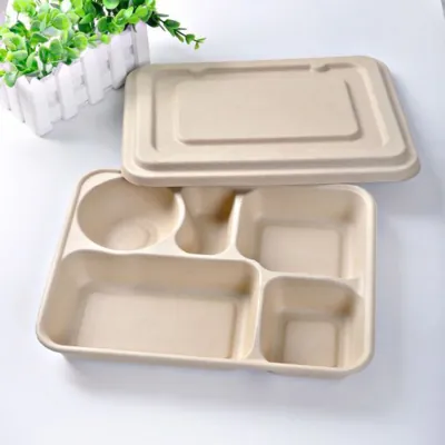 Moulded fibre compartment tray with a fitted lid, shown empty