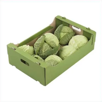 Green corrugated produce crate holding whole savoy cabbages