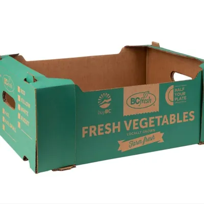 Teal printed corrugated vegetable crate with a fresh vegetables design