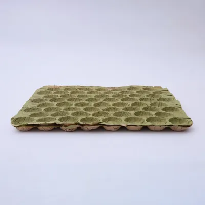 Green moulded fibre fruit tray with formed pockets, shown empty
