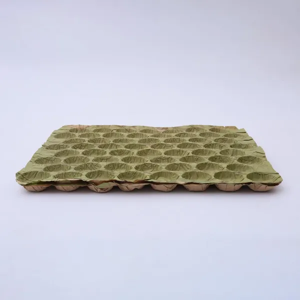 Green moulded fibre fruit tray with formed pockets, shown empty