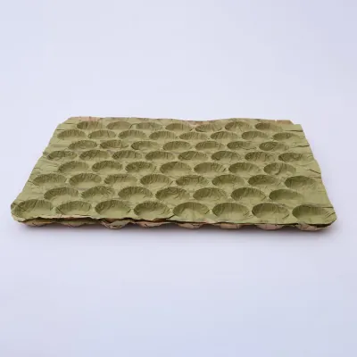 Green moulded fibre fruit tray with rows of formed pockets