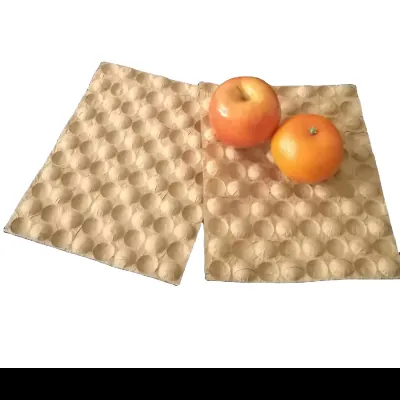 Two kraft fibre fruit trays holding an apple and an orange