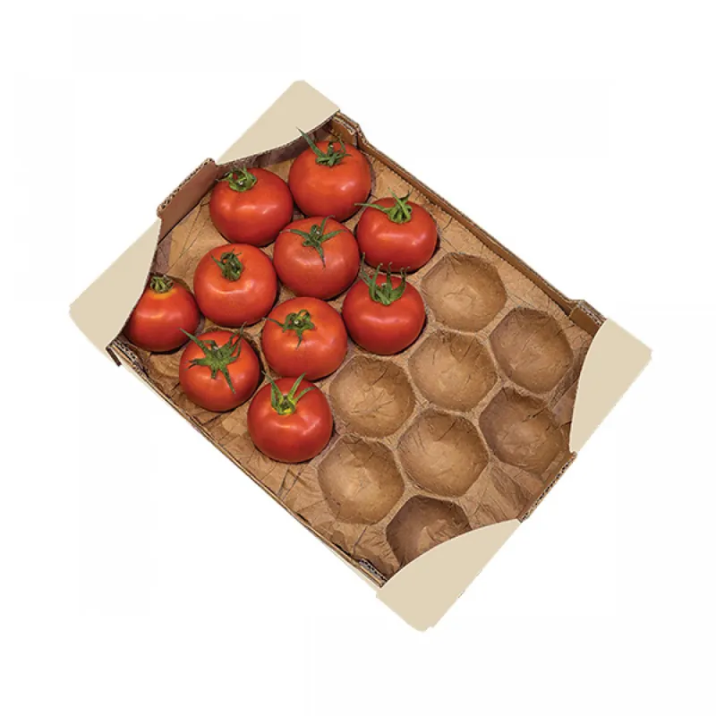 Kraft moulded fibre tray holding a layer of tomatoes in formed pockets